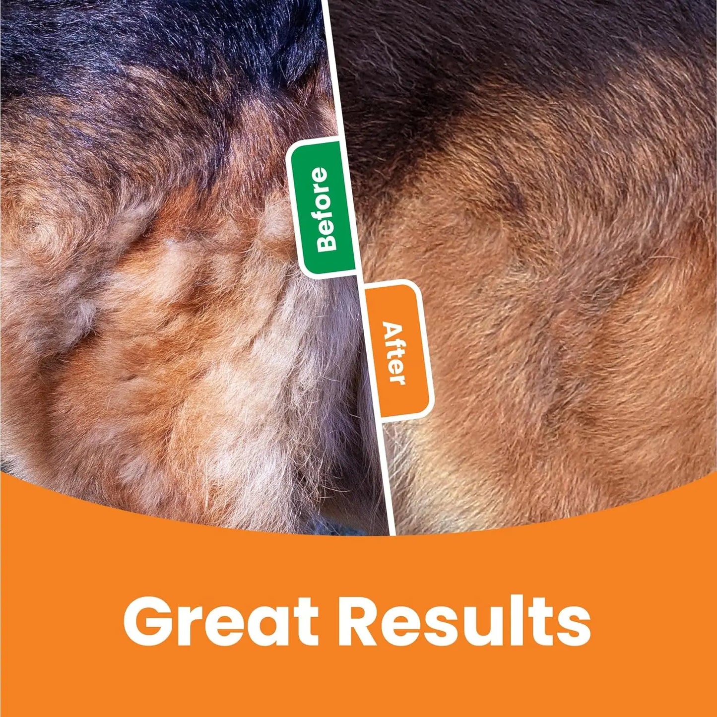 3-in-1 Pet Grooming Brush